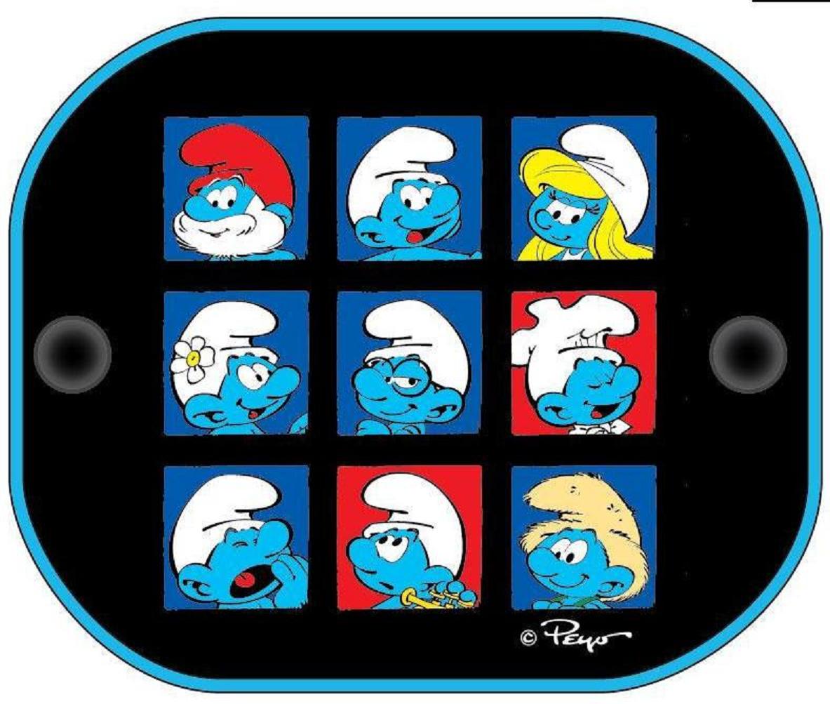 Lot de 2 pare soleil lateraux 44 x 36 cm SCHTROUMPF