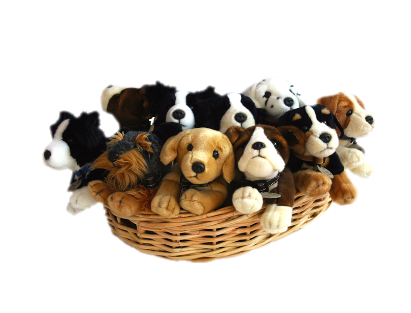 Display 12 peluches chiens 25cm